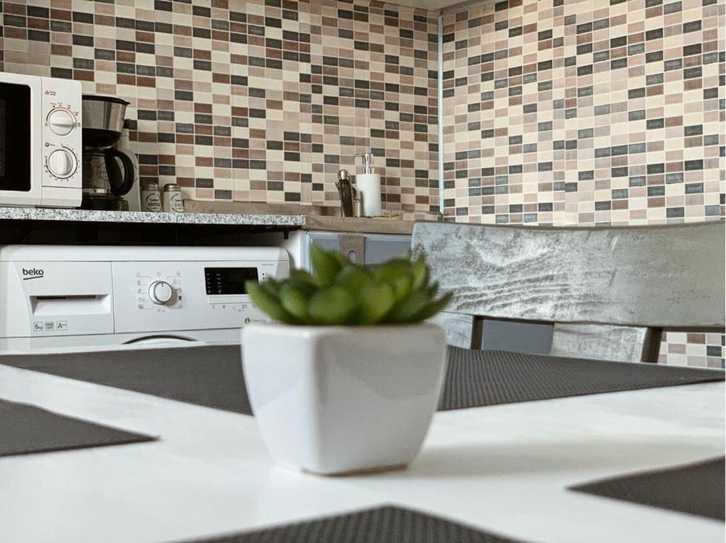 Ultracentral Apt With Center View - Smart Tv - Ac Apartment Timisoara